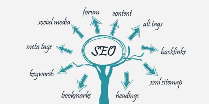 Kiểm tra phân tích quy trình Seo Website